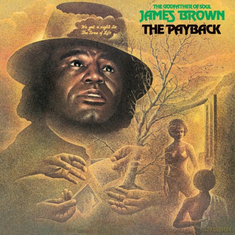 James Brown: Payback [Winyl]