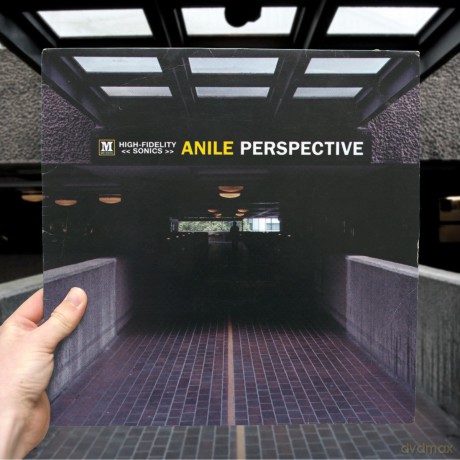 Anile: Perspective [2xWinyl]