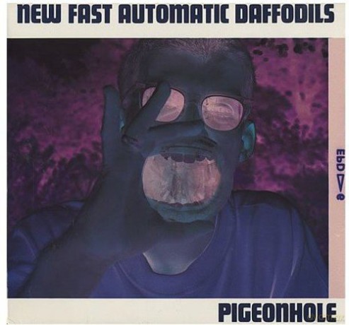 Fast Daffodils New: Pigeon Hole [Winyl]