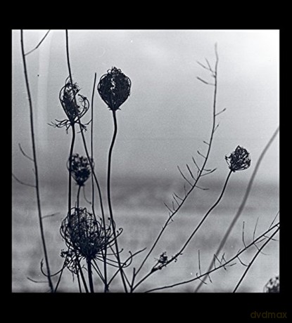 Recondite: Placid [2xWinyl]
