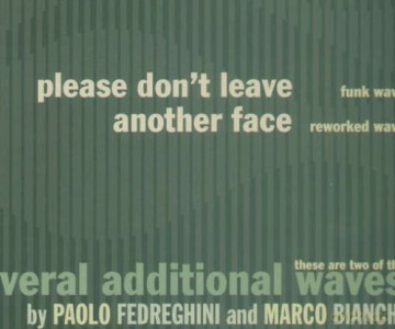 Fedreghini: Please Don't Leave [Winyl]