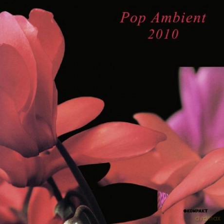 Pop Ambient 2010 [Winyl]