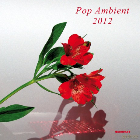 Pop Ambient 2012 [Winyl]