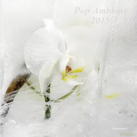 Pop Ambient 2015 [Winyl]