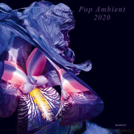 Pop Ambient 2020 Various Artists [CD]