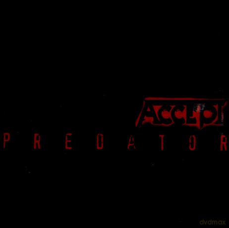 Accept: Predator [Winyl]