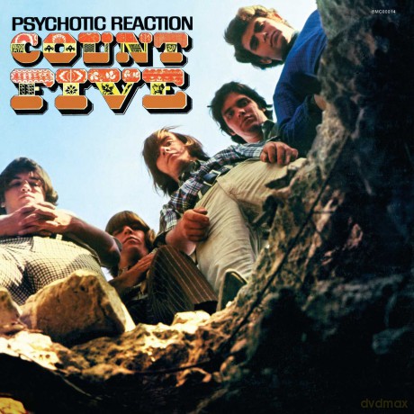Count Five: Psychotic Reaction [Winyl]