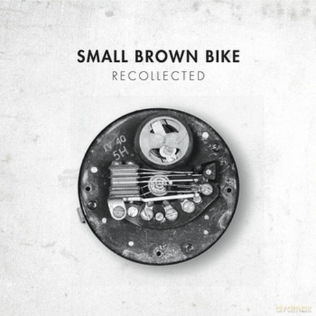Small Brown Bike: Recollected [Winyl]
