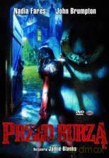 Przed burzą [DVD]