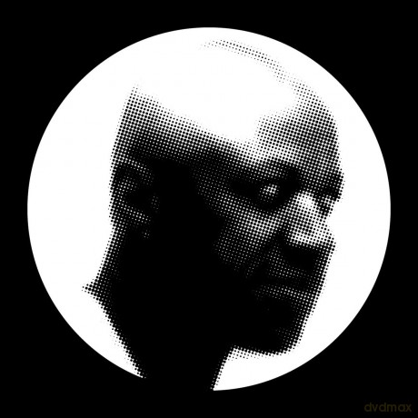 Laraaji: Remixes [Winyl]