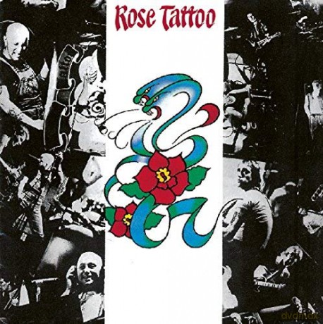 Rose Tattoo: Rose Tattoo - Rotes [2xWinyl]