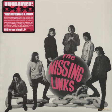 The Missing Links: Same [2xWinyl]