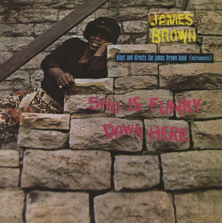 James Brown: Sho Is Funky Down Here [Winyl]