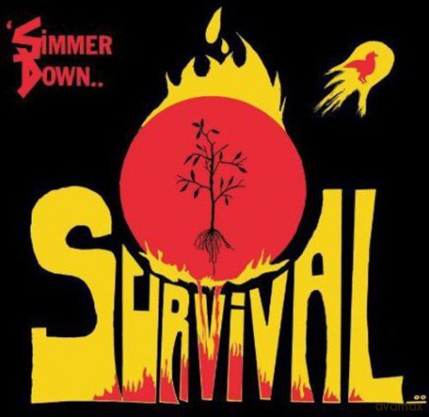 Survival: Simmer Down [Winyl]
