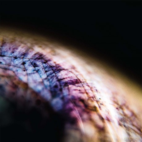 Emptyset: Skin [Winyl]