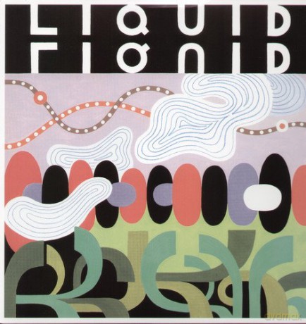 Liquid Liquid: Slip in and Out of Phenomenon [Winyl]