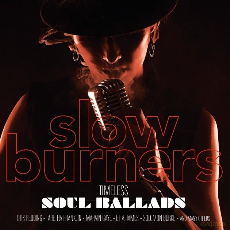 Slow Burners-Timeless'soul Ballads [Winyl]