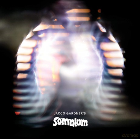 Jacco Gardner: Somnium Jacco Gardner Ltd Purple [Winyl]