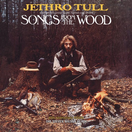 Jethro Tull: Songs From The Wood [Winyl]