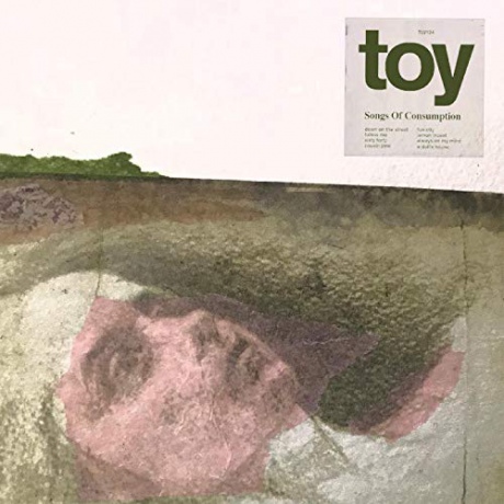Toy: Songs Of Consumption [CD]