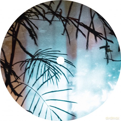 The Idealist: Source Ep [Winyl]