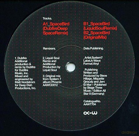 System 7: Space Bird Dubfire And [Winyl]