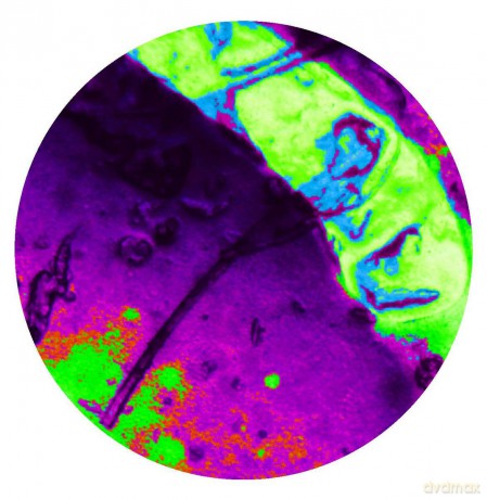 Franco Cinelli: Space Funk Ep [Winyl]