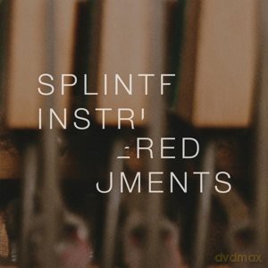 Matthew Collings: Splintered Instruments [Winyl]