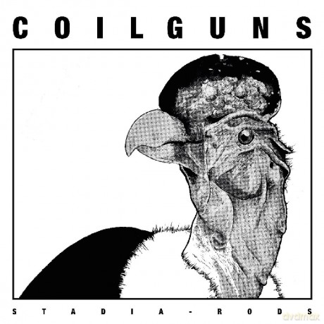 Coilguns: Stadia Rods [Winyl]
