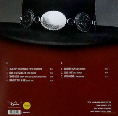Stevie Ray Vaughan: Stevie Ray Vaughan - Best Of The Fire Meets The Fury 1989 [Winyl]