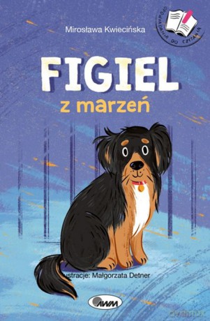 Figiel z marzeń - Mirosława Kwiecińska [KSIĄŻKA]