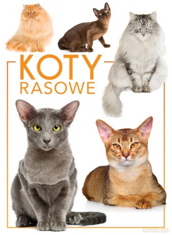 Koty rasowe [KSIĄŻKA]