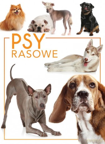 Psy rasowe - Izabela Przeczek [KSIĄŻKA]
