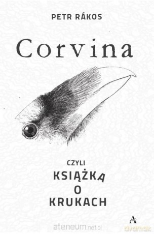 Corvina, czyli książka o krukach - Petr Rkos [KSIĄŻKA]