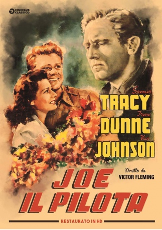 A Guy Named Joe [DVD]