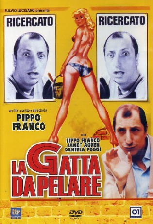 A Hard Nut to Crack [DVD]