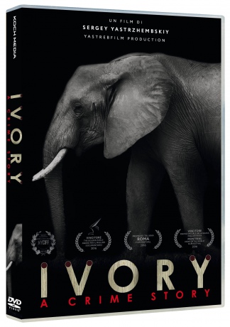 Ivory: A Crime Story (Krwawe kły) [DVD]