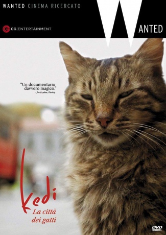 Kedi (Kedi - sekretne życie kotów) [DVD]