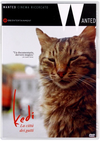 Kedi (Kedi - sekretne życie kotów) [DVD]