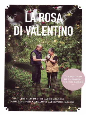 La Rosa Di Valentino [DVD]
